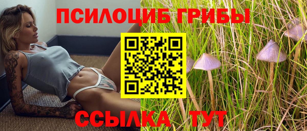 Псилоцибиновые грибы Cubensis Скопин
