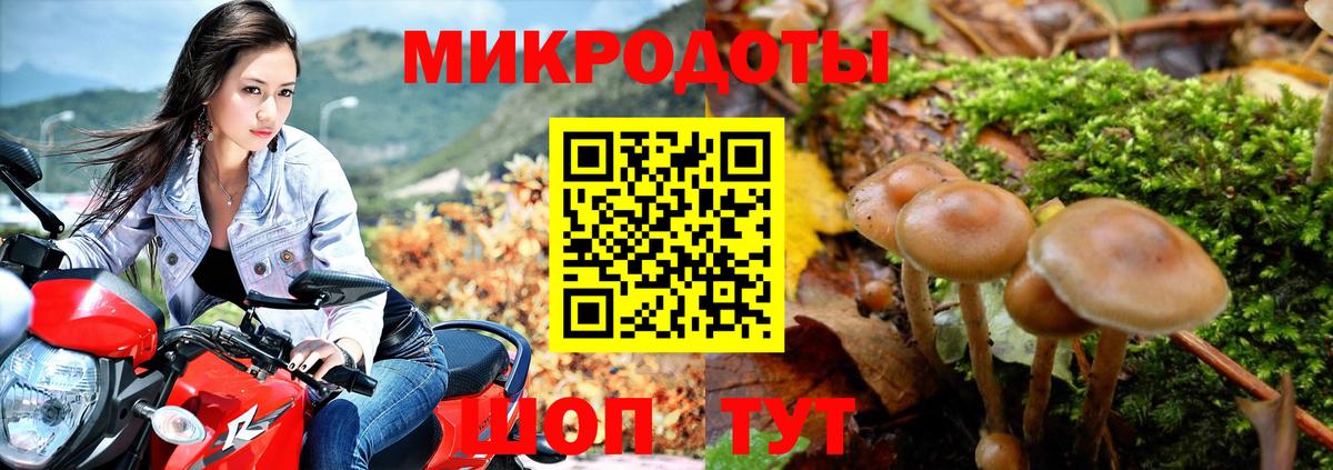 Галлюциногенные грибы MAGIC MUSHROOMS  Вход с VPN  наркота  Скопин 